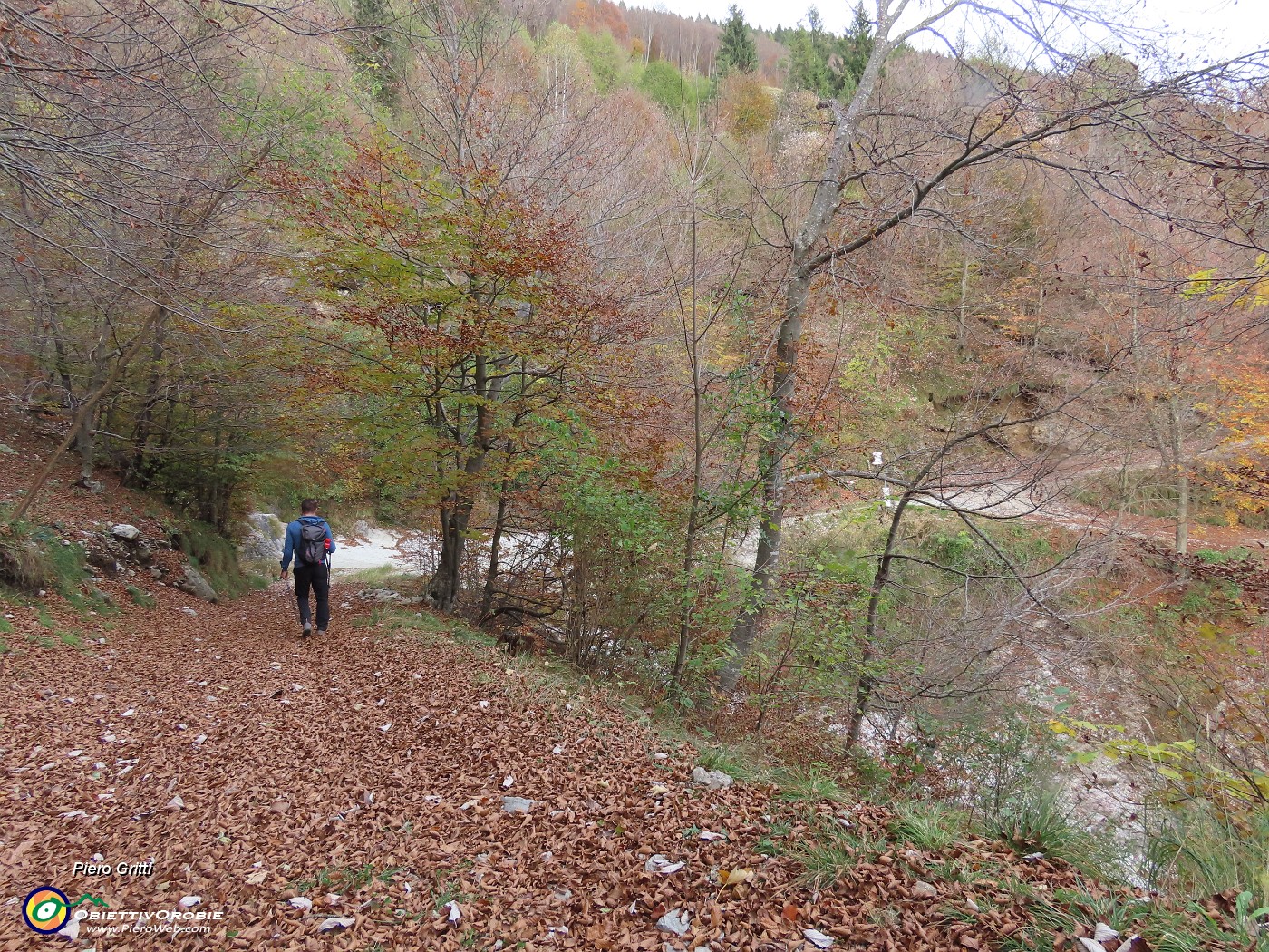 60 Dopo lunghetta discesa agganciamo la sterrata strada agrosilvo pastorale che percorriamo per breve tratto.JPG
